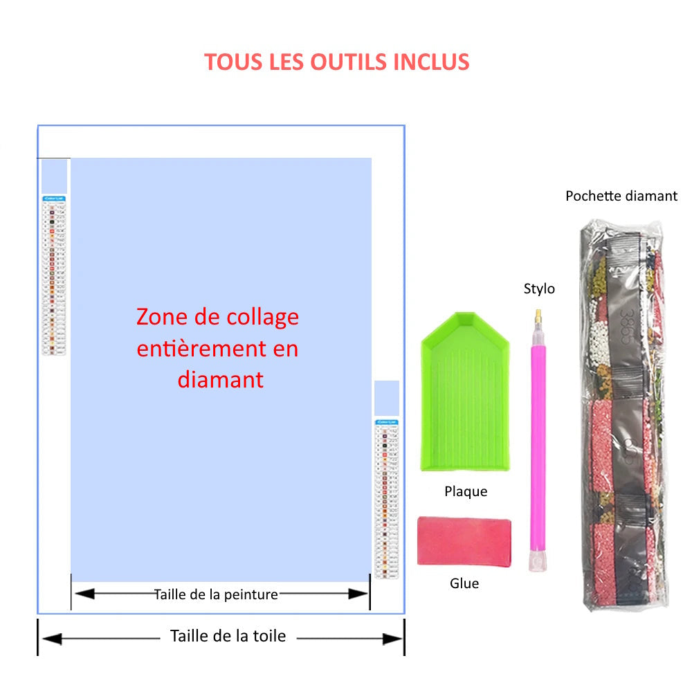 Tortue colorée